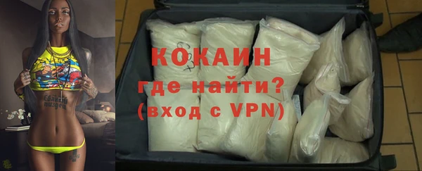 дурь Инта