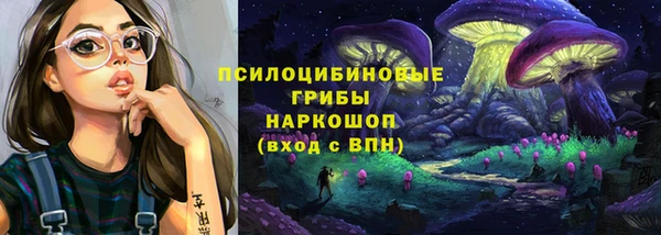 тгк Алексин