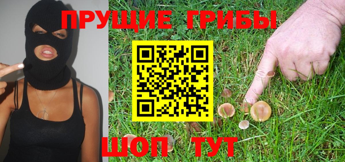 Сорочинск  Псилоцибиновые грибы прущие грибы  Вход с VPN 