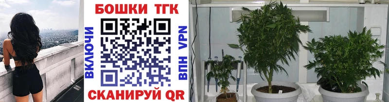 это как зайти  Сорочинск  Канабис конопля  сколько стоит 